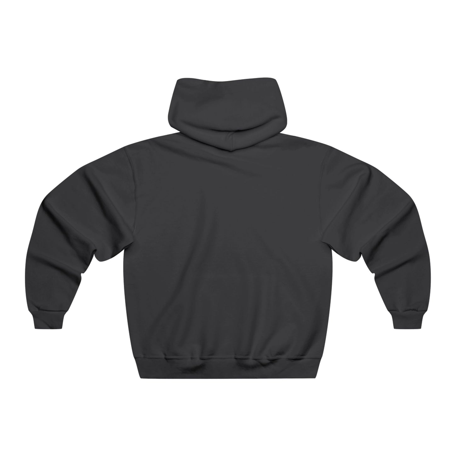 Vote by Mail Hoodie